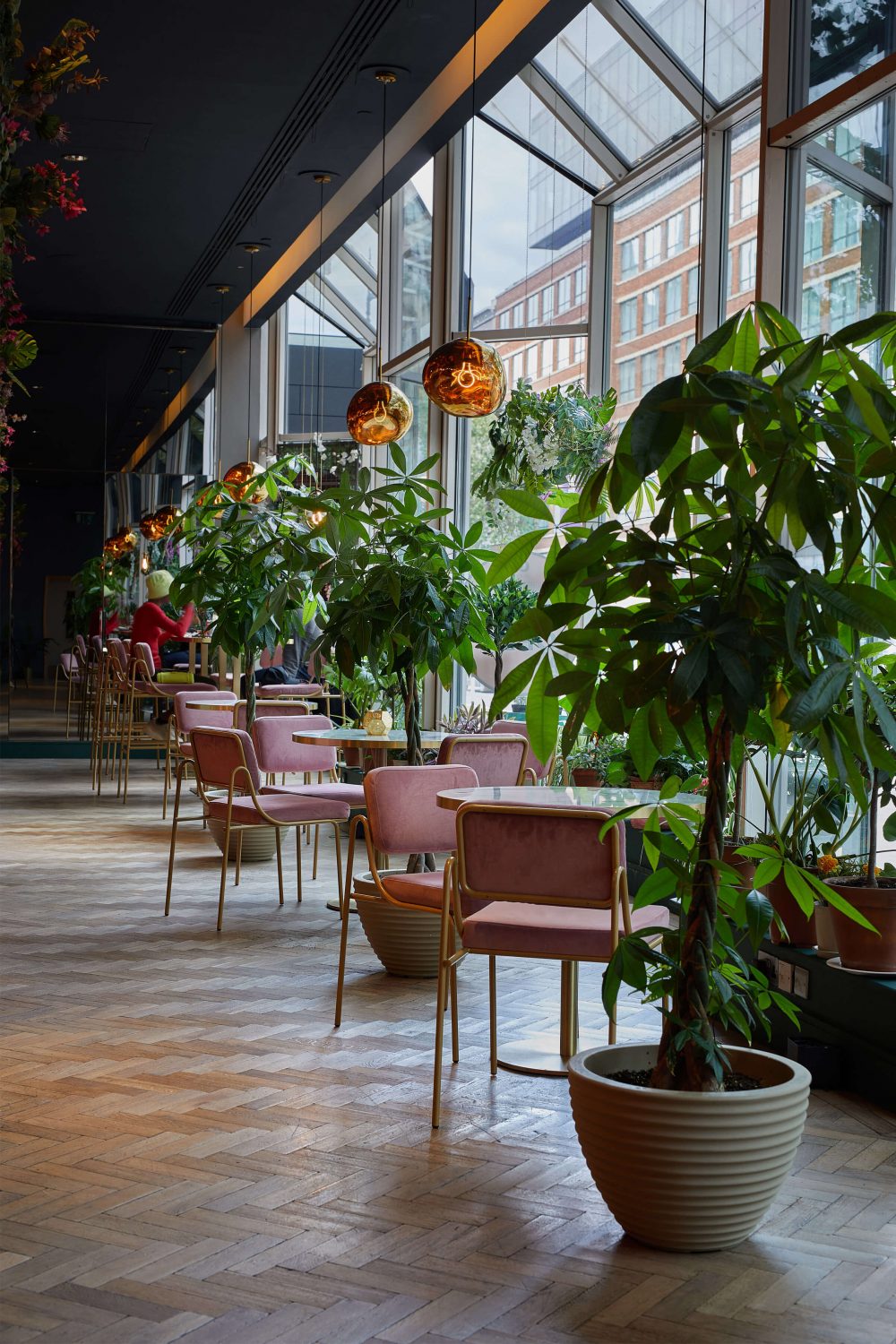Potted plants indoor jungle seating